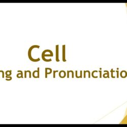 Cell language meaning