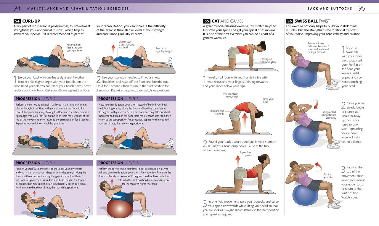 Lower back exercises at home